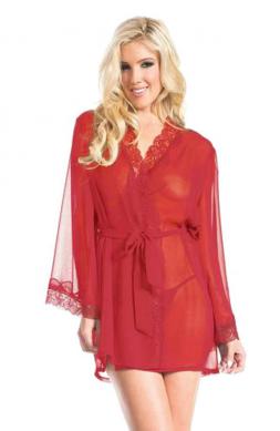 Graceful Front Tied Sheer Robe